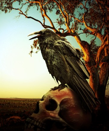 Eating Crow by Dave Foreman